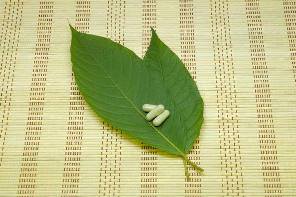 Buy Green Malay Kratom: Trusted Sources