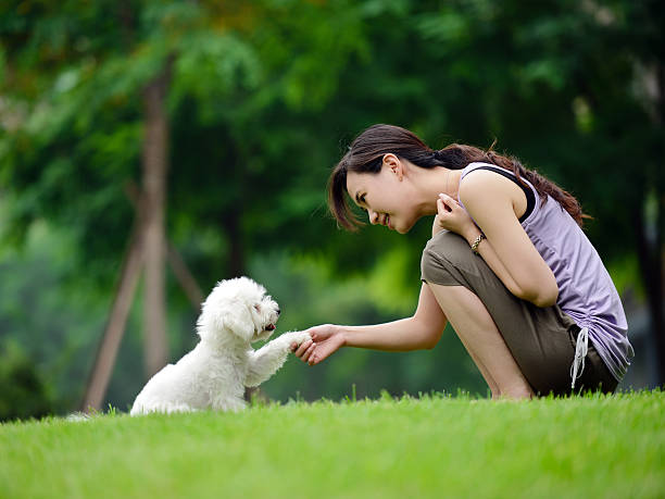 Safe and Friendly Dog Boarding Services in Fort Myers